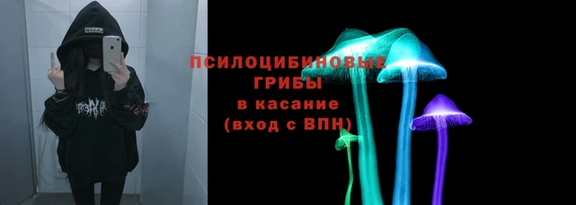 2c-b Пересвет