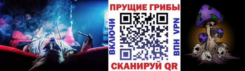 дарнет шоп  Артёмовский  Псилоцибиновые грибы прущие грибы 